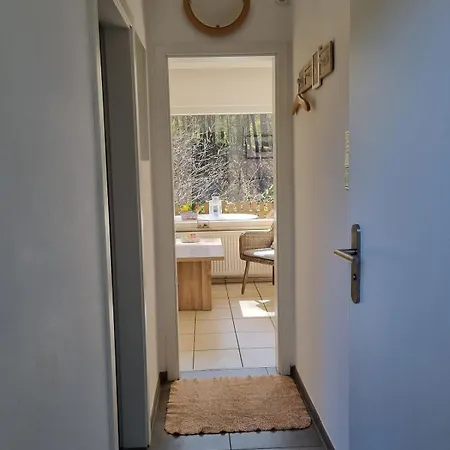 Drossel Am Teutoburgerwald