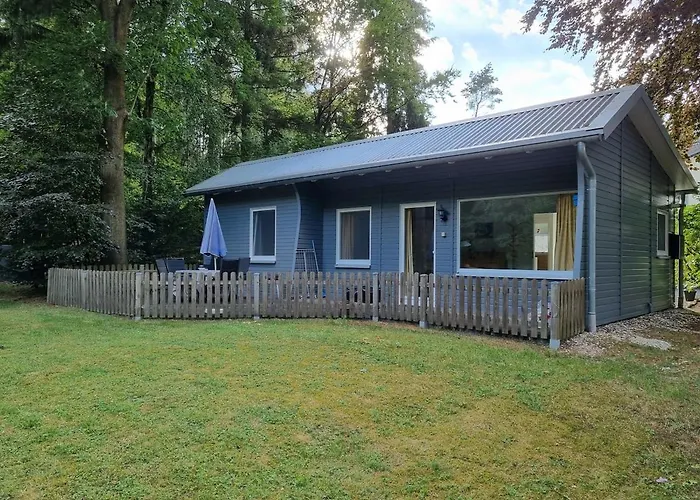 Drossel Am Teutoburgerwald Lage (Lippe)