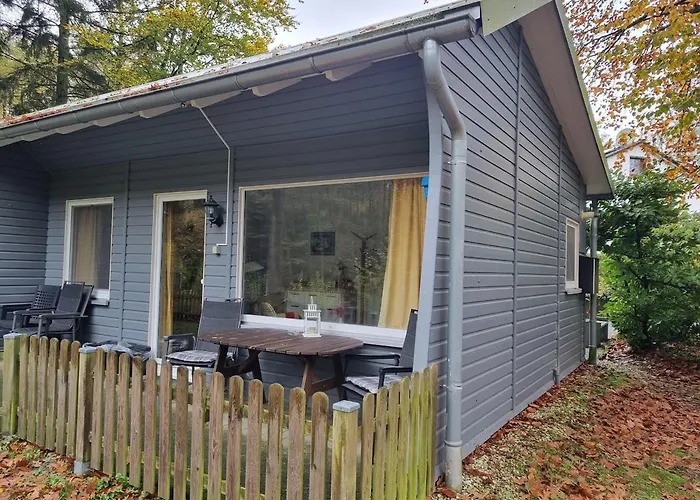 Drossel Am Teutoburgerwald * Lage (Lippe)