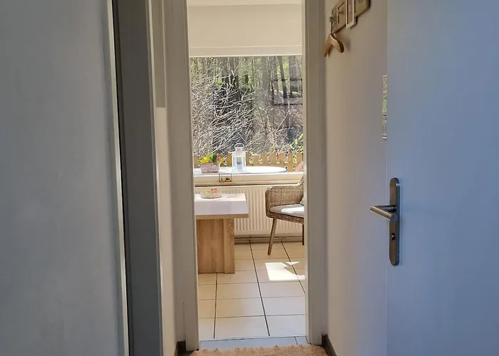 Drossel Am Teutoburgerwald