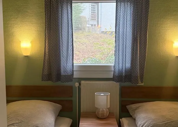 Drossel Am Teutoburgerwald *